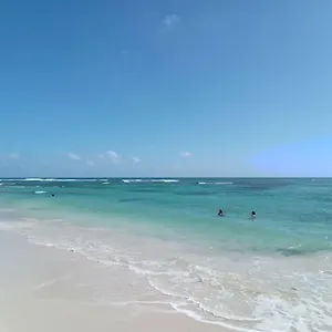 https://cosy-jungle.comcaribbean.com