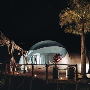 https://greenland-bubble-glamping.greaterantilleshotels.net